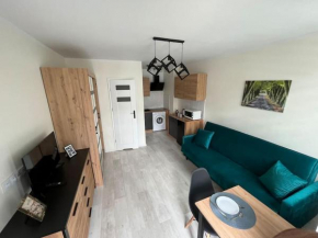 Mazowiecka 29 Apartment D self check-in, Bydgoszcz